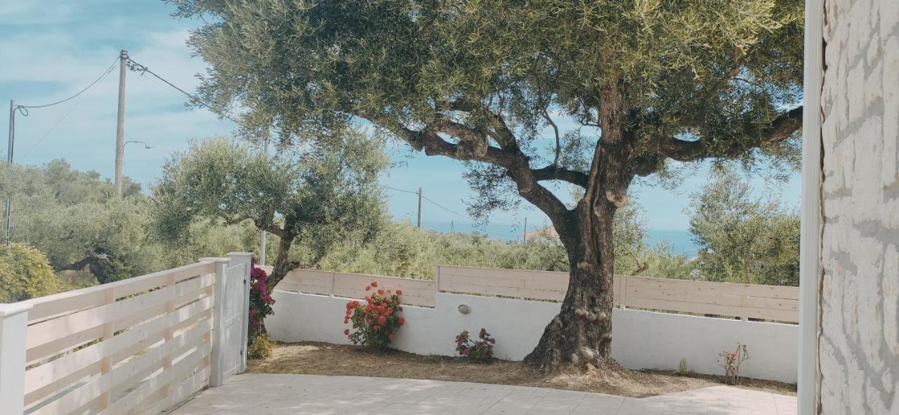 Villa Zante Avia Plános エクステリア 写真
